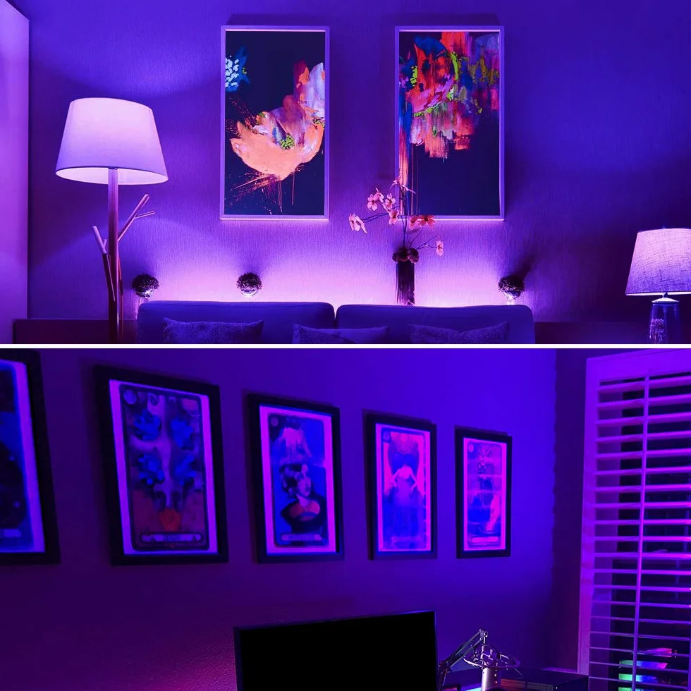 Onforu Lot de 2 Ampoule LED UV, E27 Ampoules Lumière Noire Lampe, 220-240 V Lampe LED Ultraviolet, UV-A Lampe de Ultraviolet Violette, Eclairage Décoratif pour Halloween Noël Bar Fête Peinture Fluo
