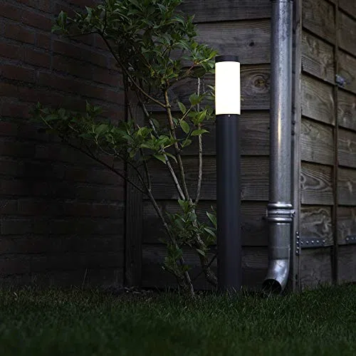 QAZQA rox - éclairage de terrasse et d'allée de jardin - 1 lumière - Ø 75 mm - Gris foncé - Moderne - éclairage extérieur