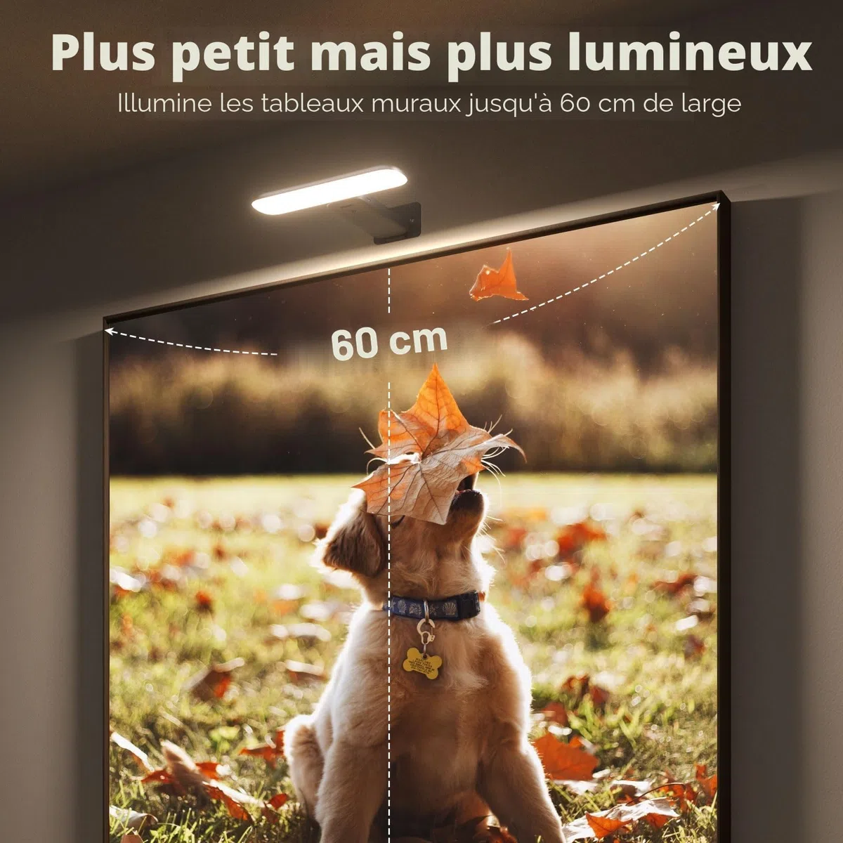 FULEN Applique Murale pour Tableaux, Éclairages Murales à Batterie Rechargeable, Lampe LED sans Fil pour Cible de Fléchettes, Lumiere pour Photos, 3 Températures de Couleur, Télécommande, Noir